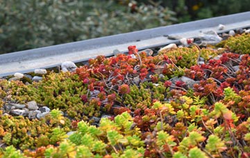the cost of Butley green roof installation