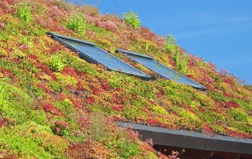 Butley living roof systems